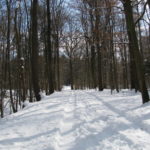 Neuschnee