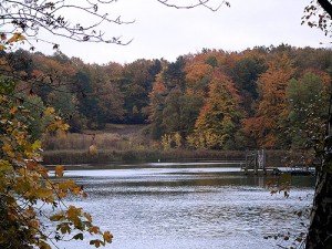 Herbst Wald See – Herbst Bilder