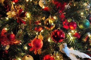 Weihnachtsbaum – Weihnachtsbilder