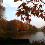 Herbstblätter Herbstbilder