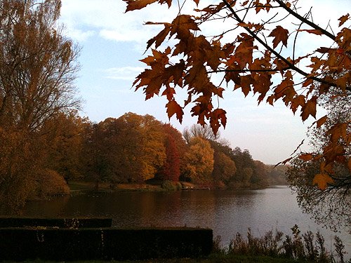 Herbstblätter – Herbstbilder