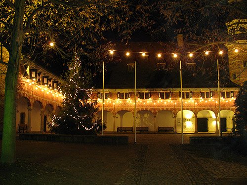 Weihnachtsbaum Schloss Reinbek