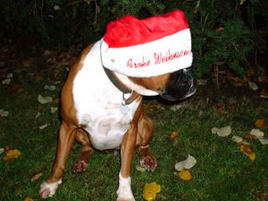 Frohe Weihnachten – Weihnachtsmann Hund
