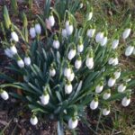 Frühling