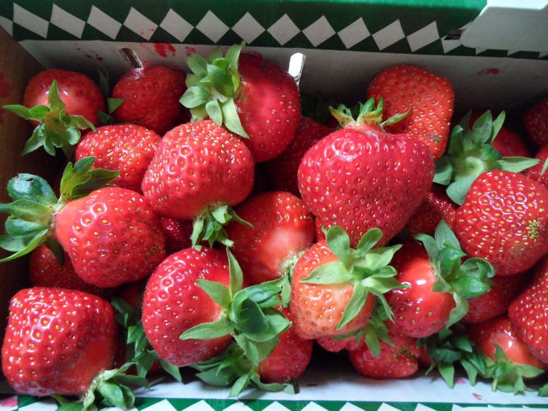 Deutsche Erdbeeren – Kultur, Traditionen & Gesundheitsvorteile