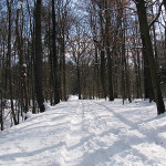 Winterlandschaft