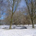 Winter Hintergrundbilder Wallpaper