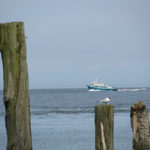 cuxhaven nordsee