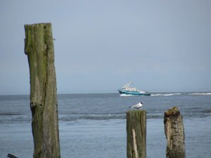 Nordsee bei Cuxhaven im Sommer