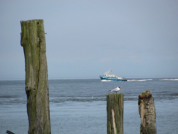 cuxhaven nordsee