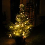 Weihnachtsbaum