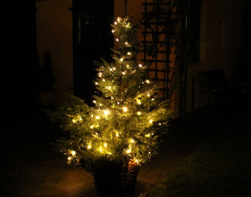 Weihnachtsbaum mit Weihnachtsbeleuchtung