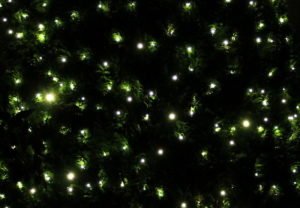 Weihnachtsbeleuchtung