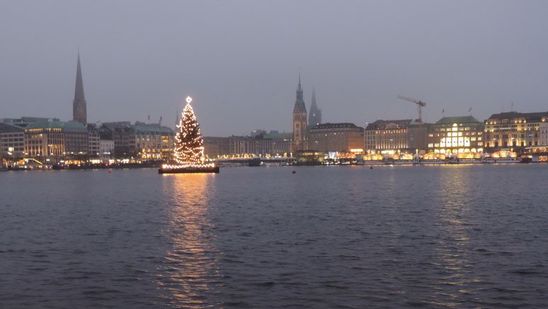 Alstertanne in Hamburg – Weihnachtsbaum auf der Alster