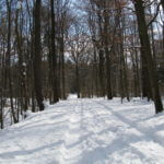 Winter Schnee Landschaft