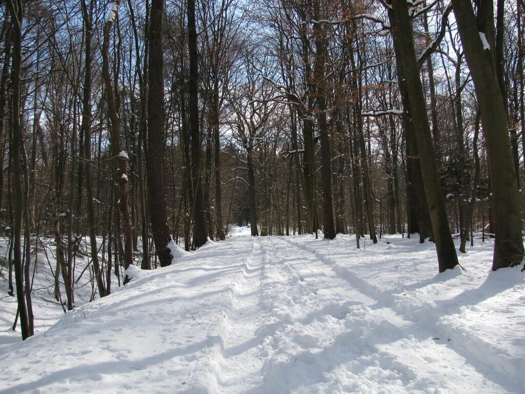 Winter Schnee Landschaft