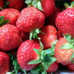 Frische Erdbeeren