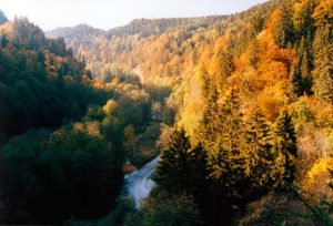 Herbst im Schwarzwald