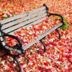 Herbstlaub