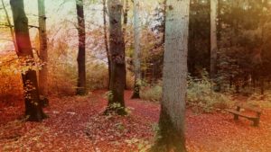 Goldener Herbst