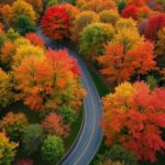 Indian Summer